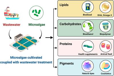 Frontiers | Corrigendum: Microalgae-based Wastewater Treatment For ...